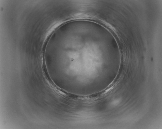 X0000075831415200609221628