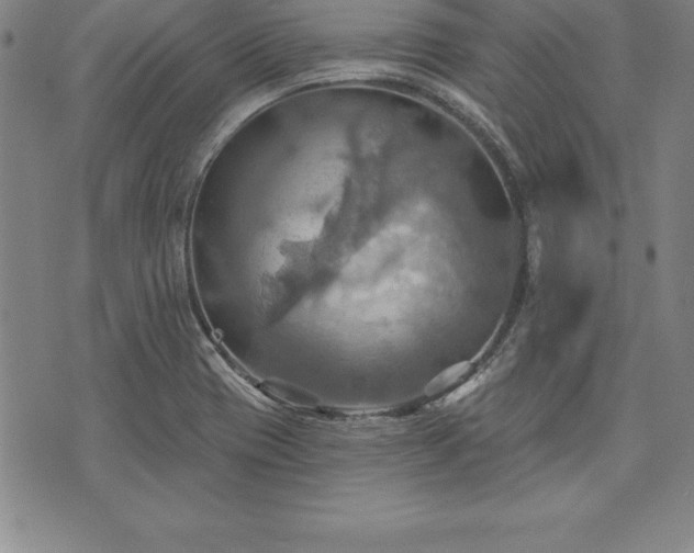 X0000075831417200609221628