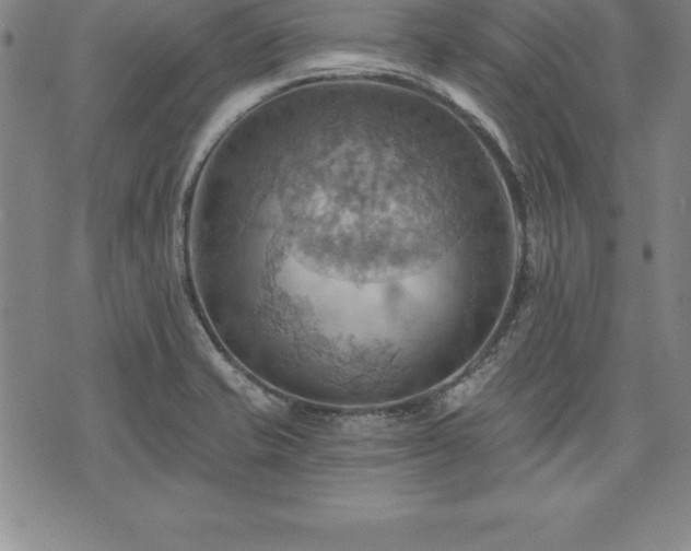 X0000075831421200609221628