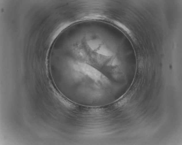 X0000075831423200609221628