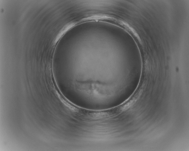 X0000075831425200609221628