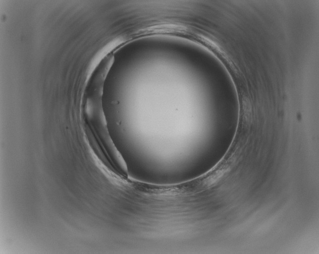 X0000075831426200609221629