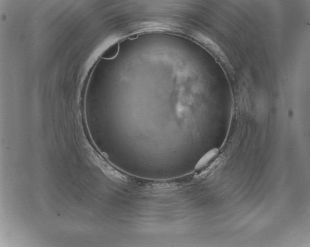 X0000075831427200609221629