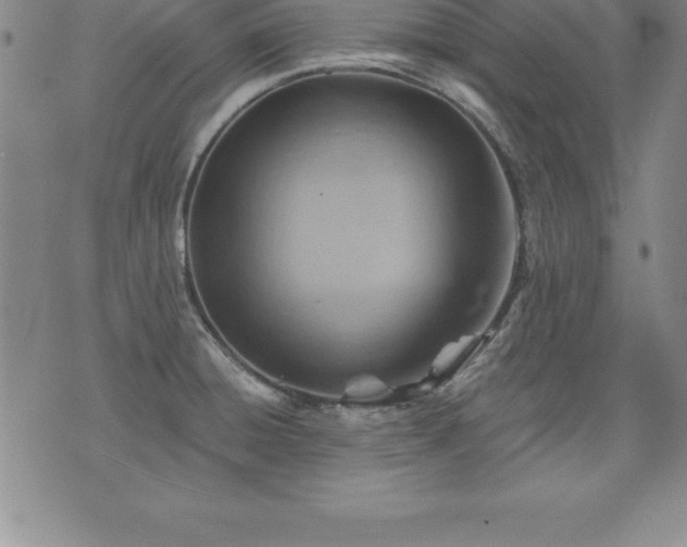 X0000075831428200609221629