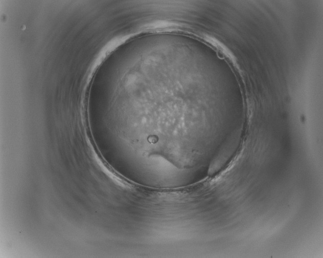 X0000075831429200609221629