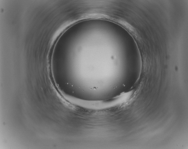 X0000075831430200609221629