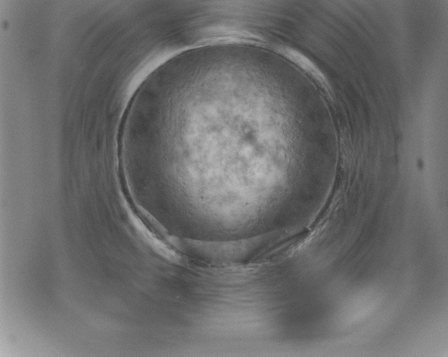 X0000075831431200609221629