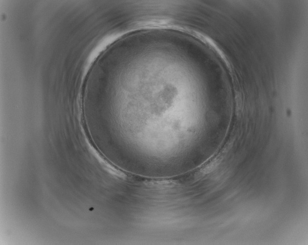 X0000075831432200609221629