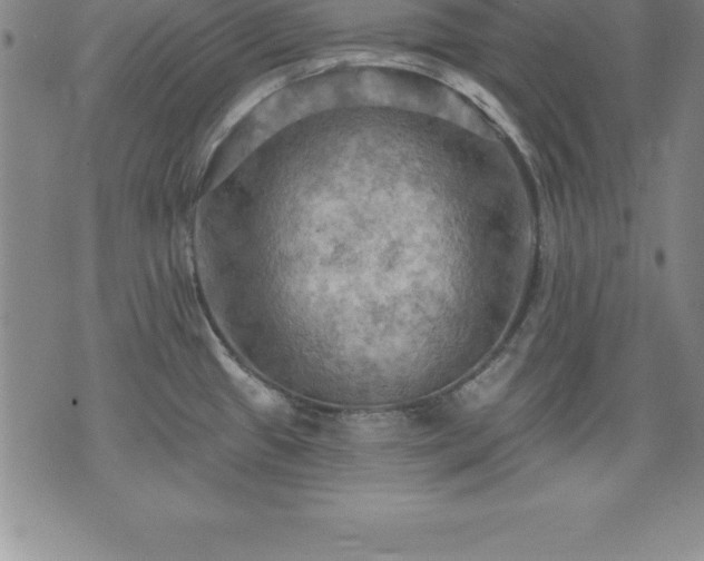 X0000075831433200609221629