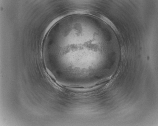 X0000075831436200609221629