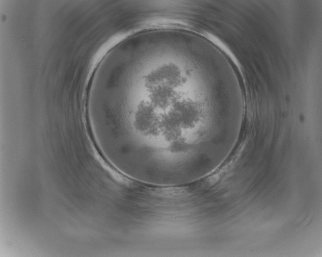 X0000075831437200609221629