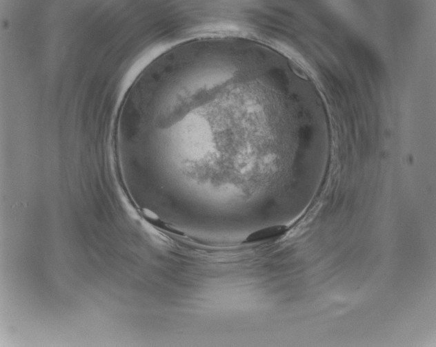 X0000075831440200609221629