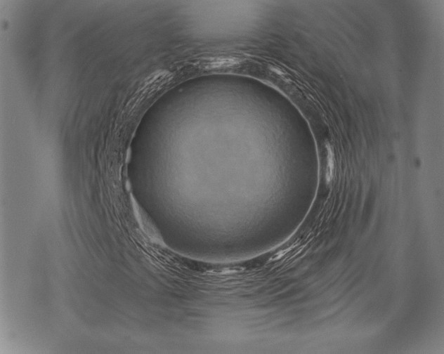 X0000075831441200609221628