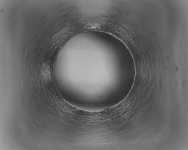 X0000075831442200609221628