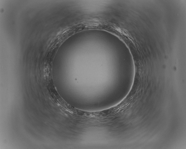 X0000075831445200609221628