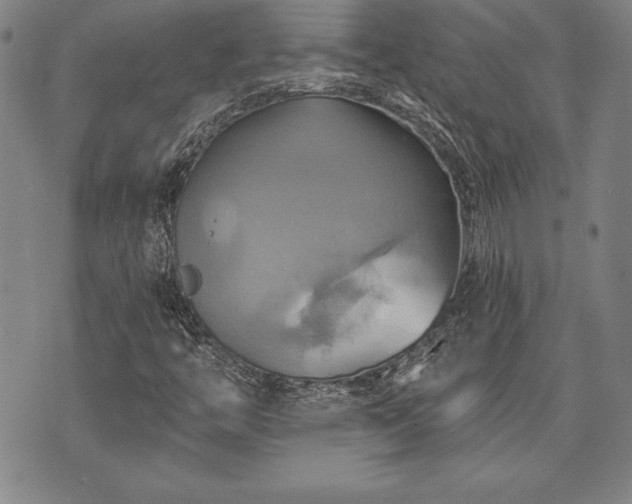 X0000075831446200609221628