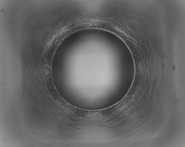 X0000075831447200609221628