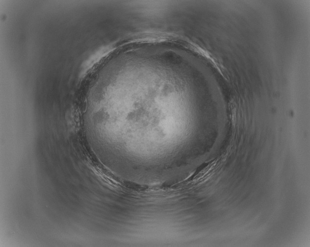 X0000075831448200609221628