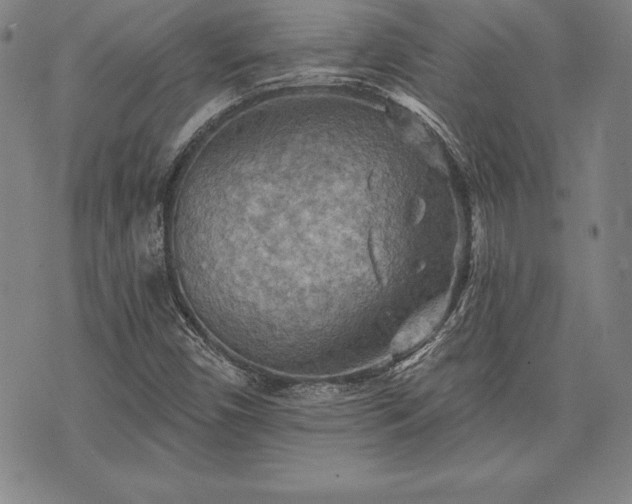 X0000075831450200609221628