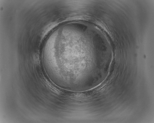 X0000075831452200609221628