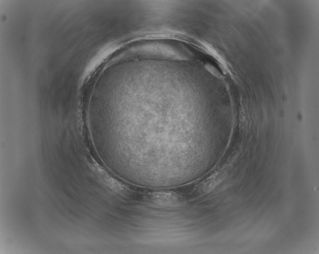 X0000075831456200609221628