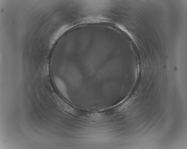 X0000075831459200609221628