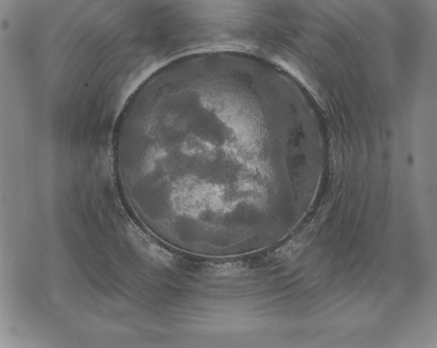 X0000075831460200609221628