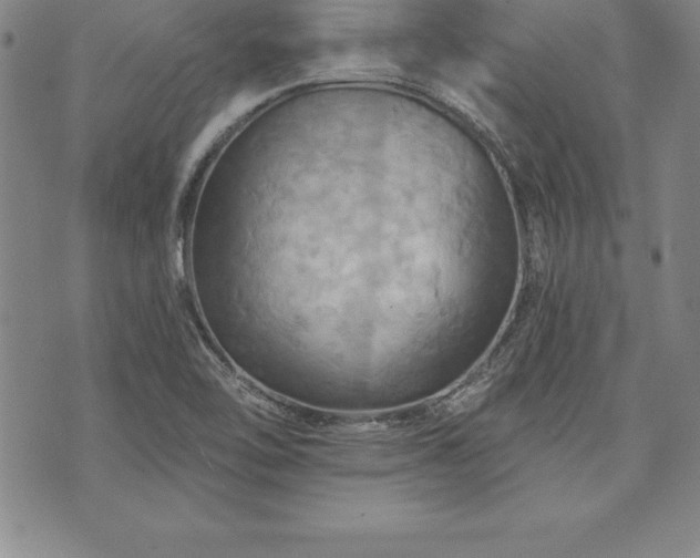 X0000075831462200609221628