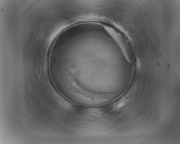 X0000075831463200609221628