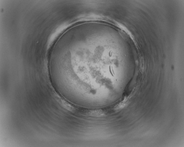 X0000075831464200609221628