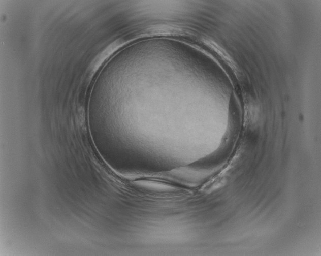 X0000075831465200609221628