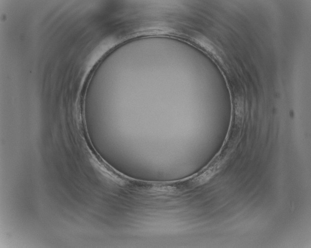 X0000075831466200609221628