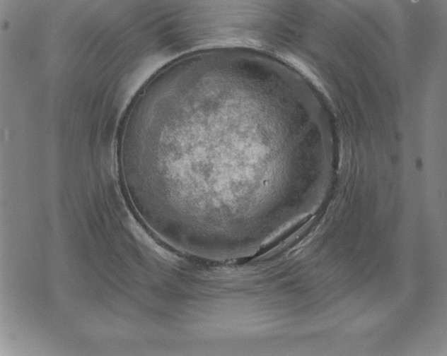 X0000075831468200609221628