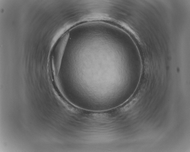 X0000075831469200609221627