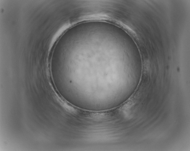 X0000075831470200609221627