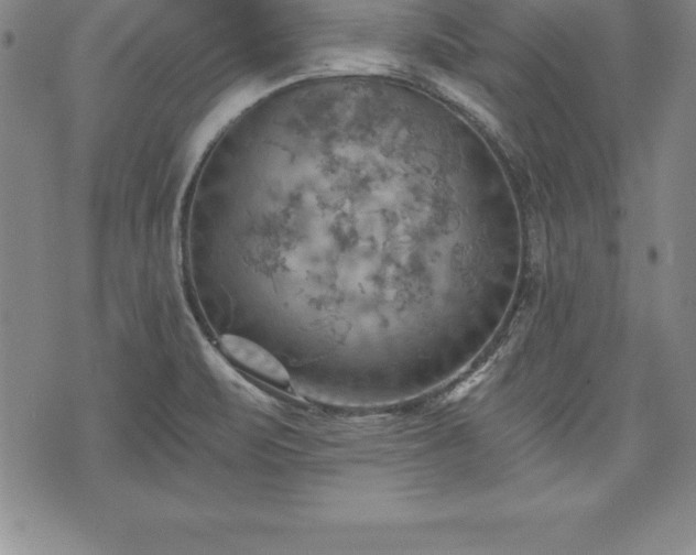 X0000075831471200609221627