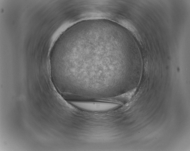 X0000075831472200609221627