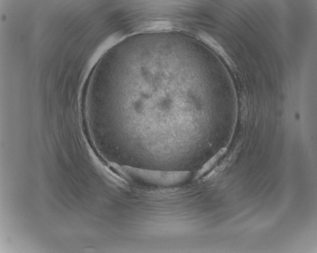 X0000075831475200609221627