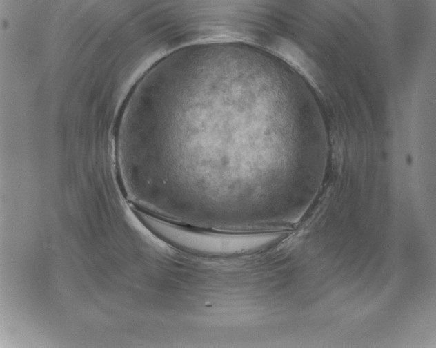 X0000075831476200609221627