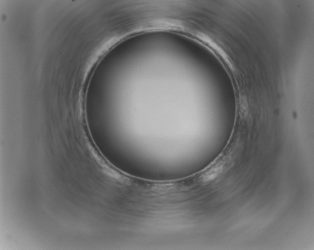 X0000075831477200609221627