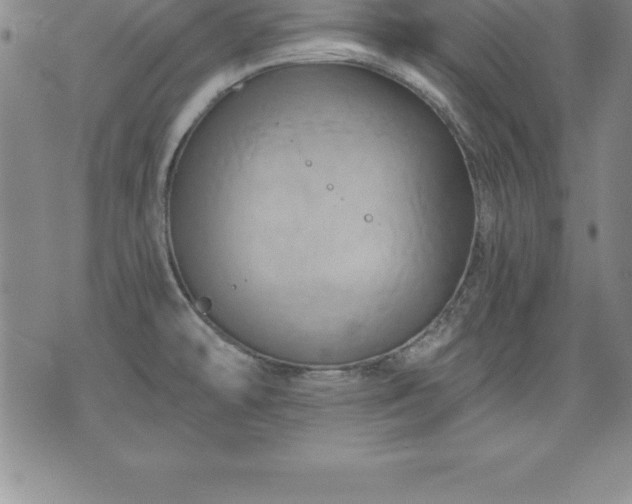 X0000075831478200609221627