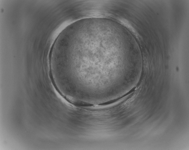 X0000075831479200609221627