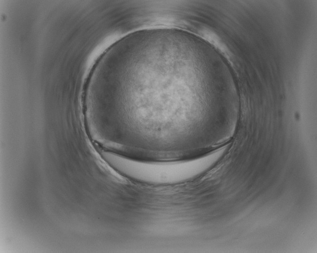 X0000075831480200609221627