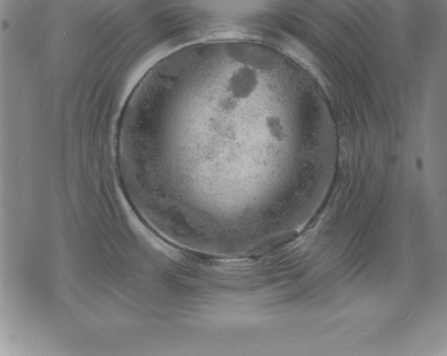 X0000075831483200609221627