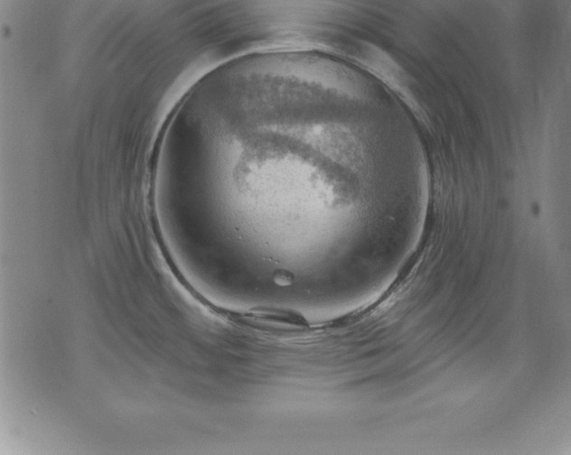 X0000075831484200609221627