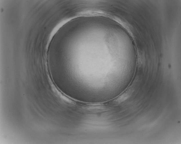 X0000075831486200609221627