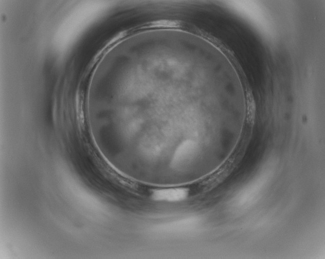 X0000075831487200609221627