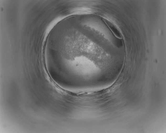 X0000075831488200609221627