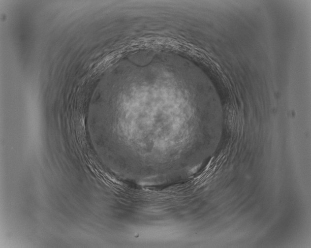 X0000075831489200609221626