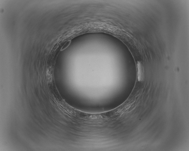 X0000075831491200609221626